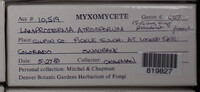 Image Associated With the Occurence